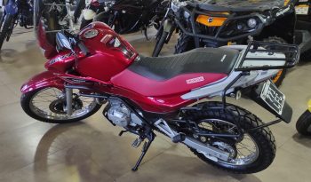 HONDA FALCON 400 2015 15000 KM lleno
