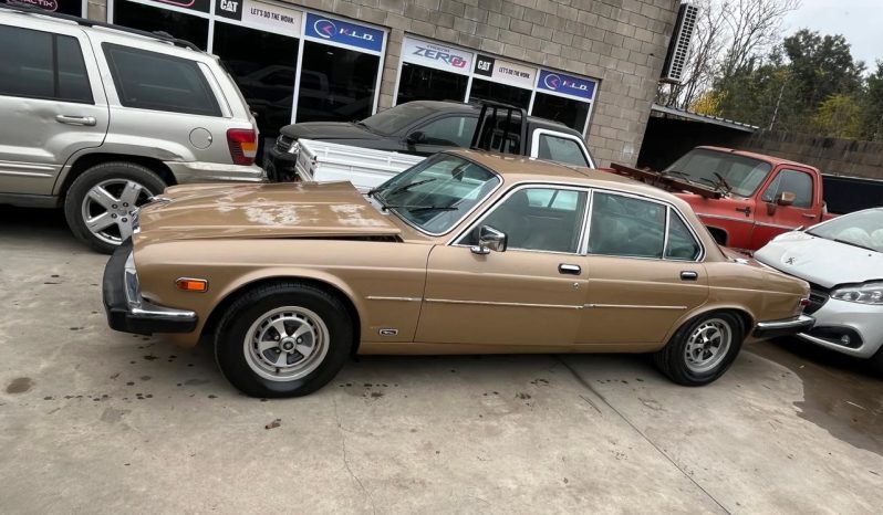 Jaguar XJ6 1981 6 cilindros lleno